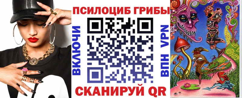 Купить  Советский  Галлюциногенные грибы Cubensis 
